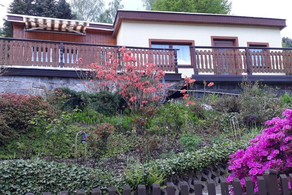 Bungalow Bluehende Oase Sebnitz Kültér fotó