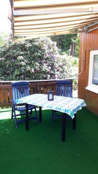 Bungalow Bluehende Oase Sebnitz Kültér fotó